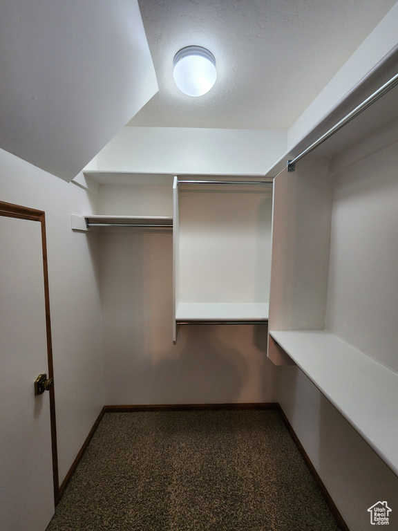 Walk in closet with carpet flooring