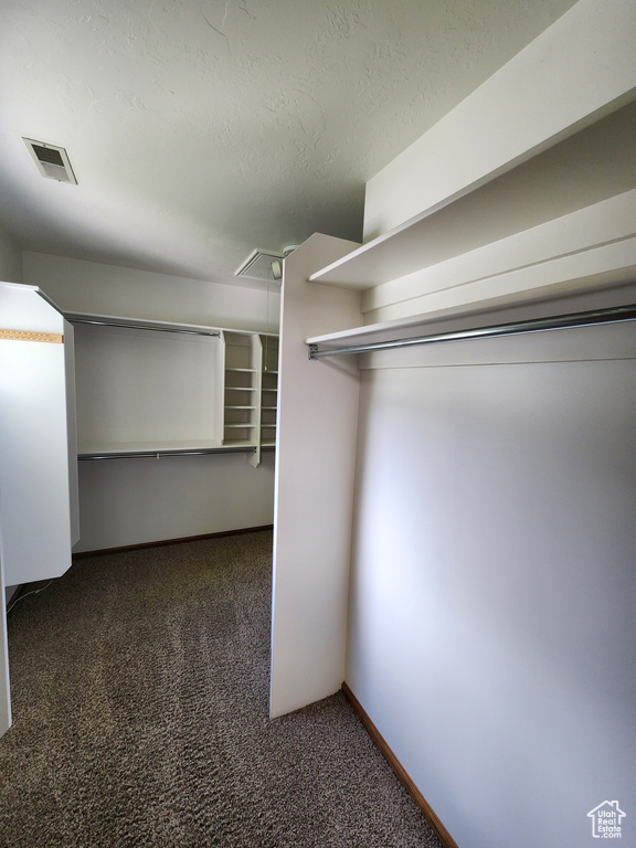 Walk in closet with attic access and carpet