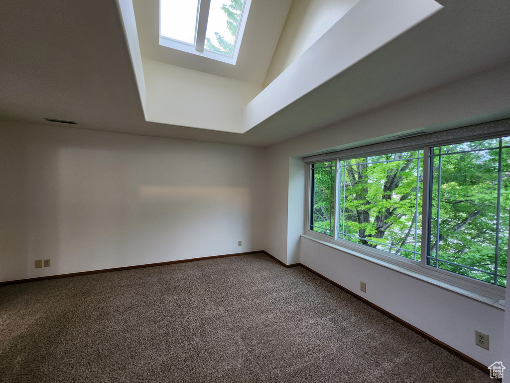 Carpeted empty room with a skylight and baseboards