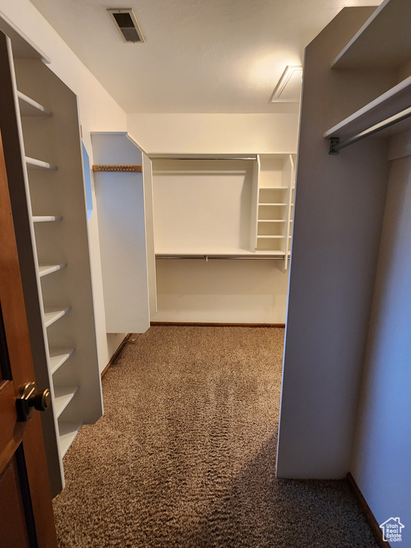 Walk in closet featuring carpet