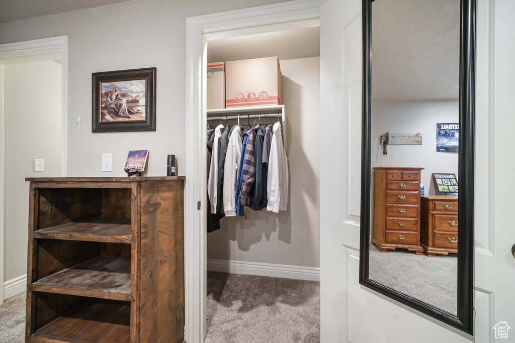 Spacious closet with carpet floors
