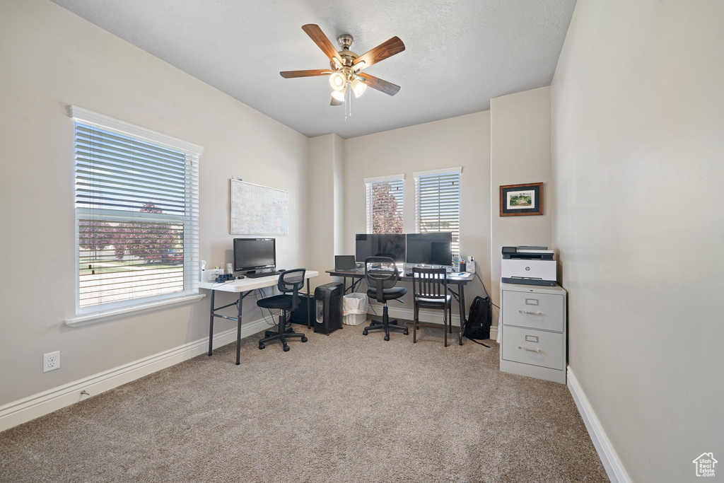 Carpeted home office with healthy amount of natural light, ceiling fan, and baseboards