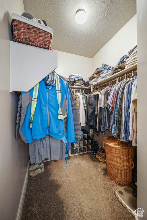 Spacious closet with carpet flooring