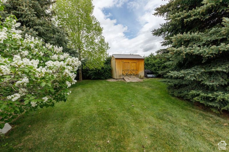 View of grassy yard with a storage shed and an outdoor structure