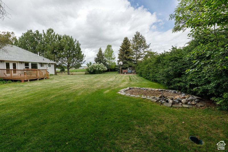 View of grassy yard featuring a deck