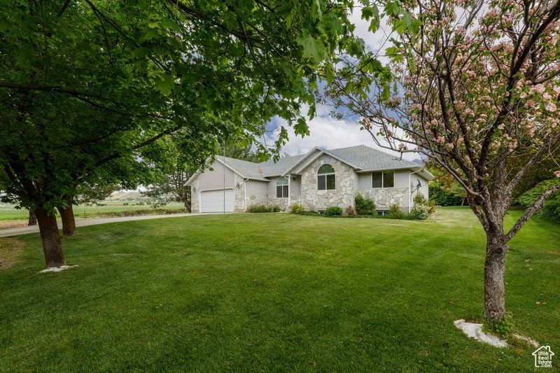 Single story home featuring an attached garage, stone siding, a front lawn, and driveway