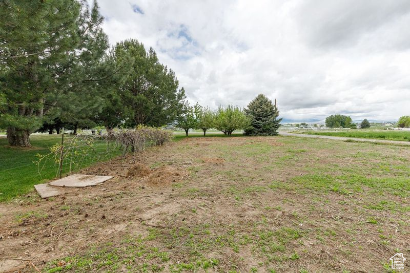 View of yard with a view of rural / pastoral area