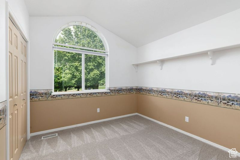 Spare room with plenty of natural light, vaulted ceiling, light carpet, and baseboards