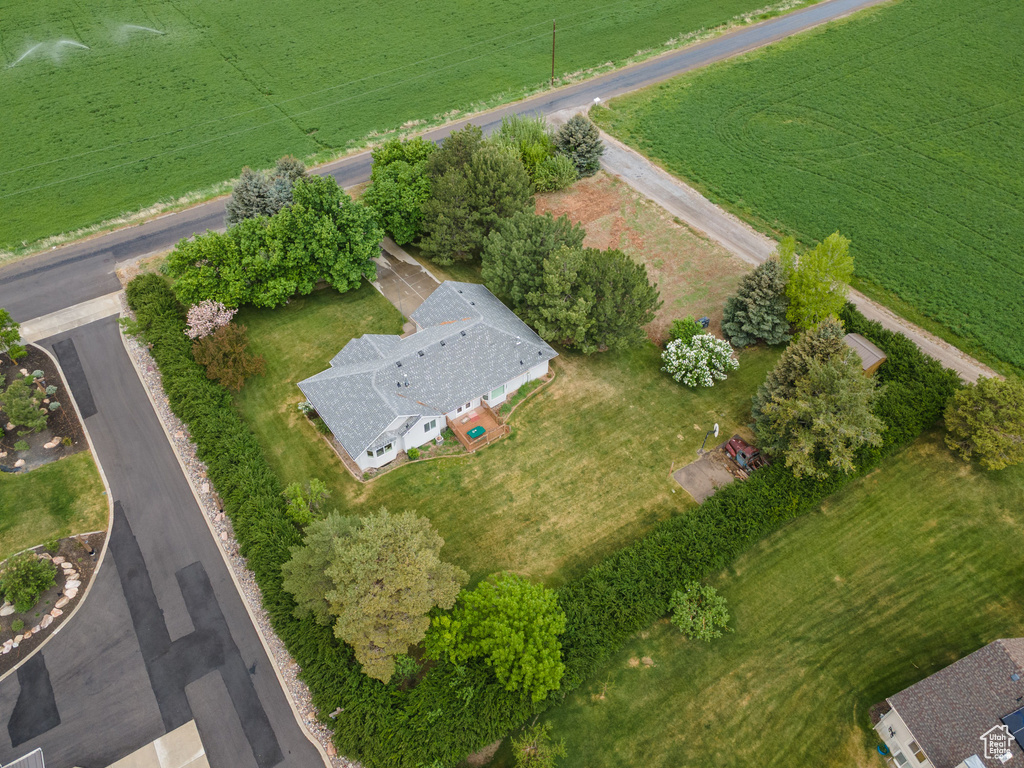 Bird\'s eye view