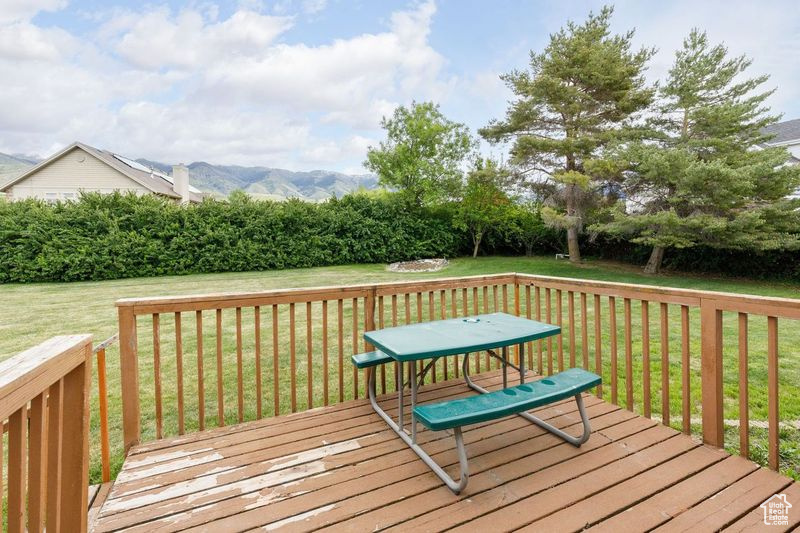Deck with a lawn