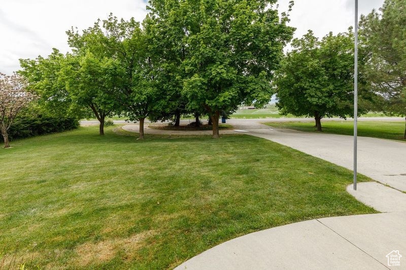 View of green lawn