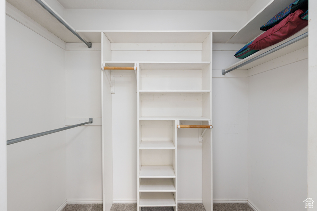 Walk in closet featuring carpet floors