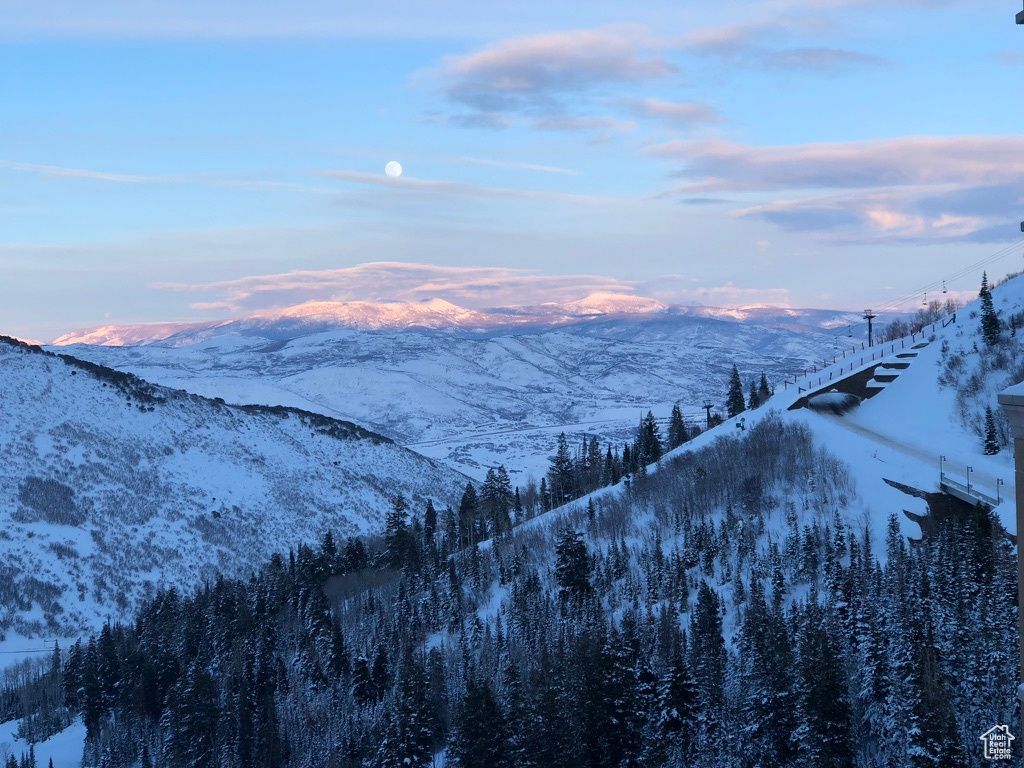 Mountain view
