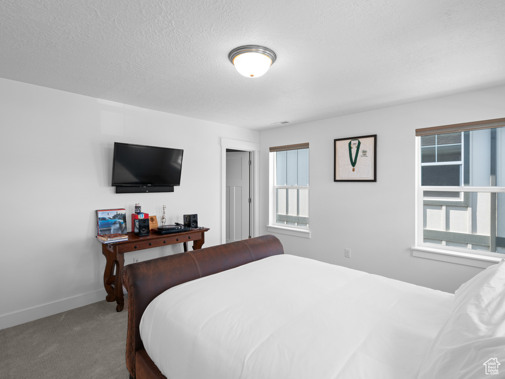 Bedroom featuring carpet floors, baseboards, and a textured ceiling