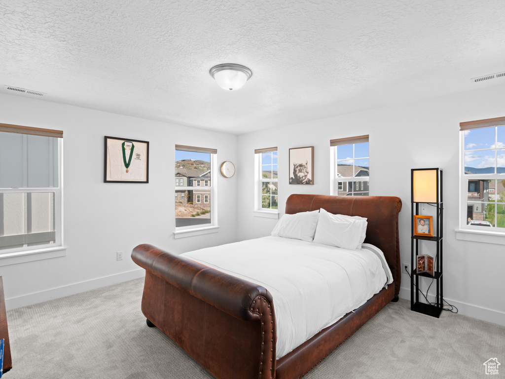 Carpeted bedroom with baseboards, multiple windows, and a textured ceiling