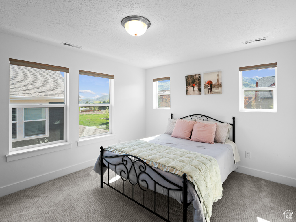 Bedroom featuring carpet, baseboards, and a textured ceiling