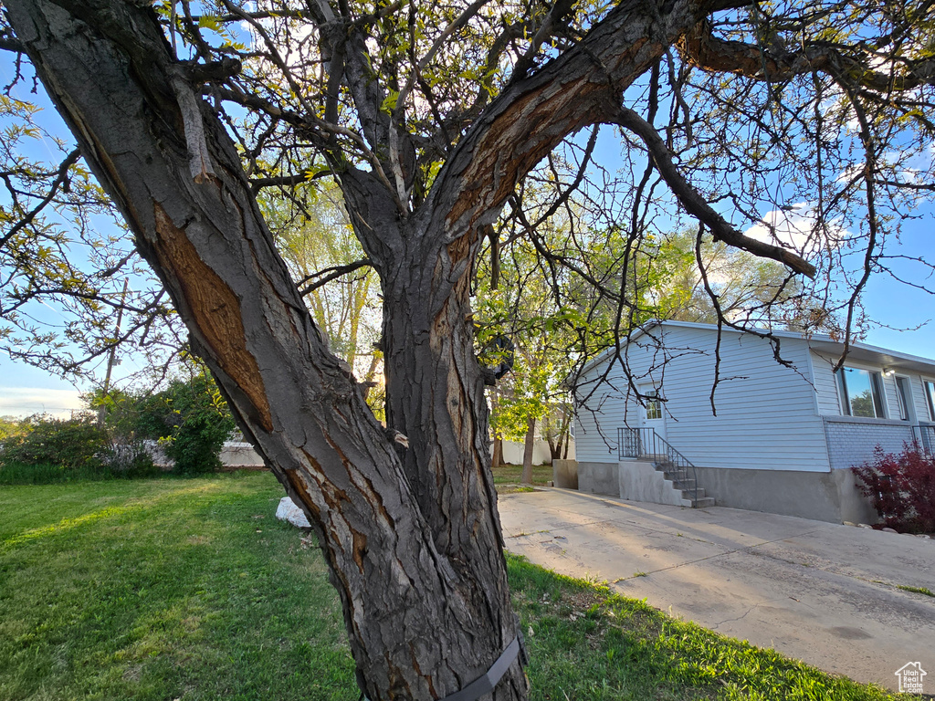 View of side of property with a lawn