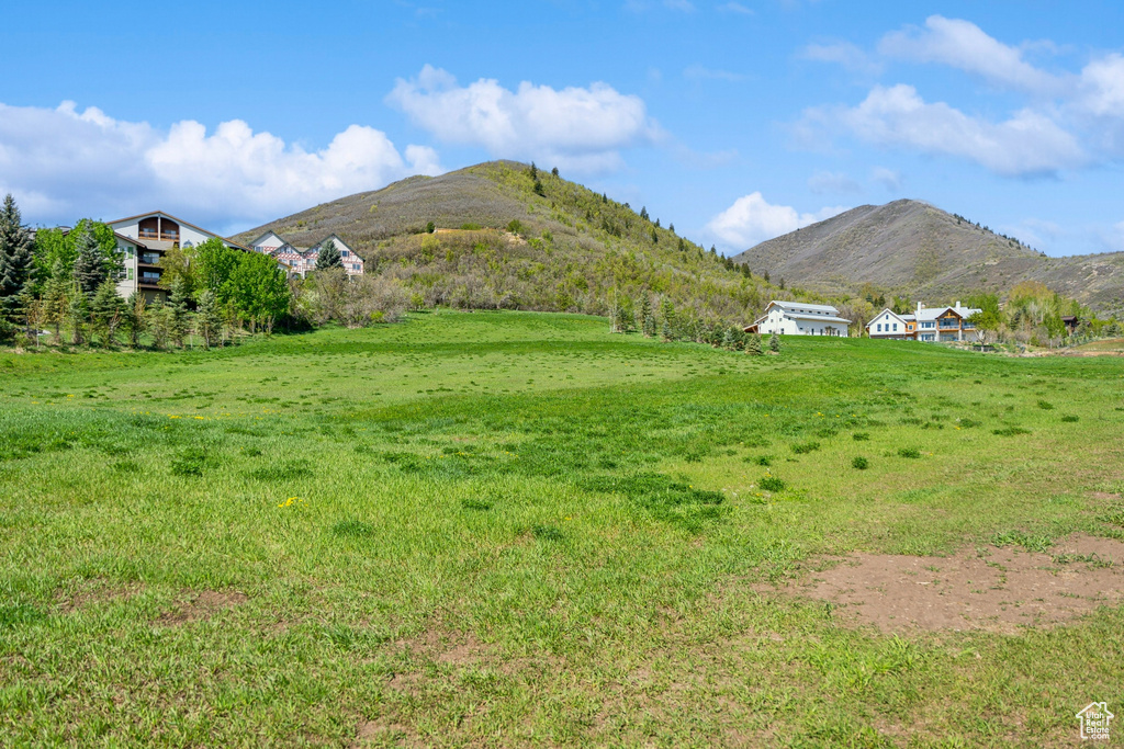 View of mountain background