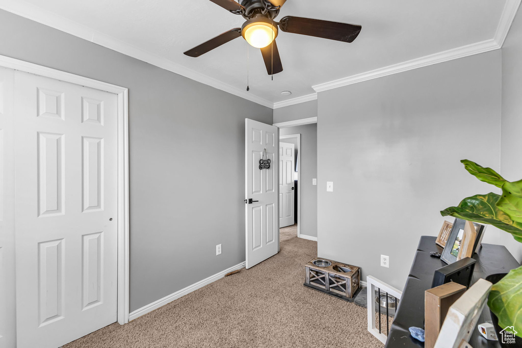 Bedroom featuring carpet flooring, crown molding, baseboards, and a ceiling fan