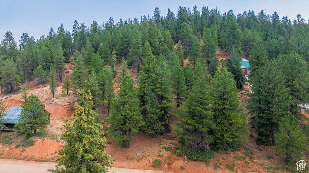 View of property location with a heavily wooded area