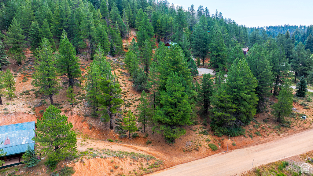 Drone / aerial view of a forest