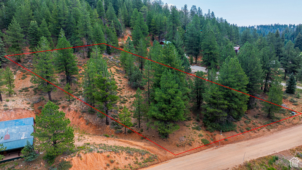 Aerial view of property\'s location featuring property parcel outlined and a heavily wooded area