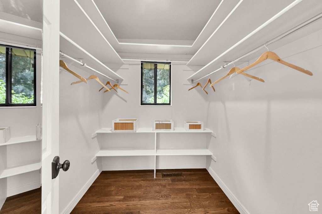 Walk in closet featuring wood finished floors and a tray ceiling