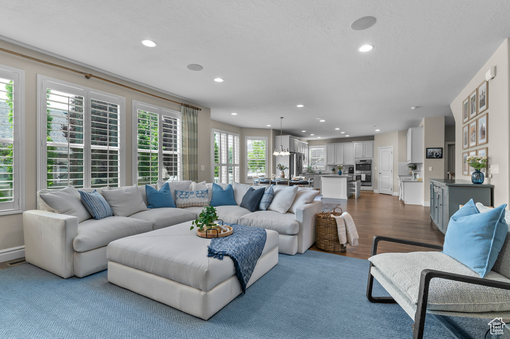 Living area with dark wood-style flooring and recessed lighting