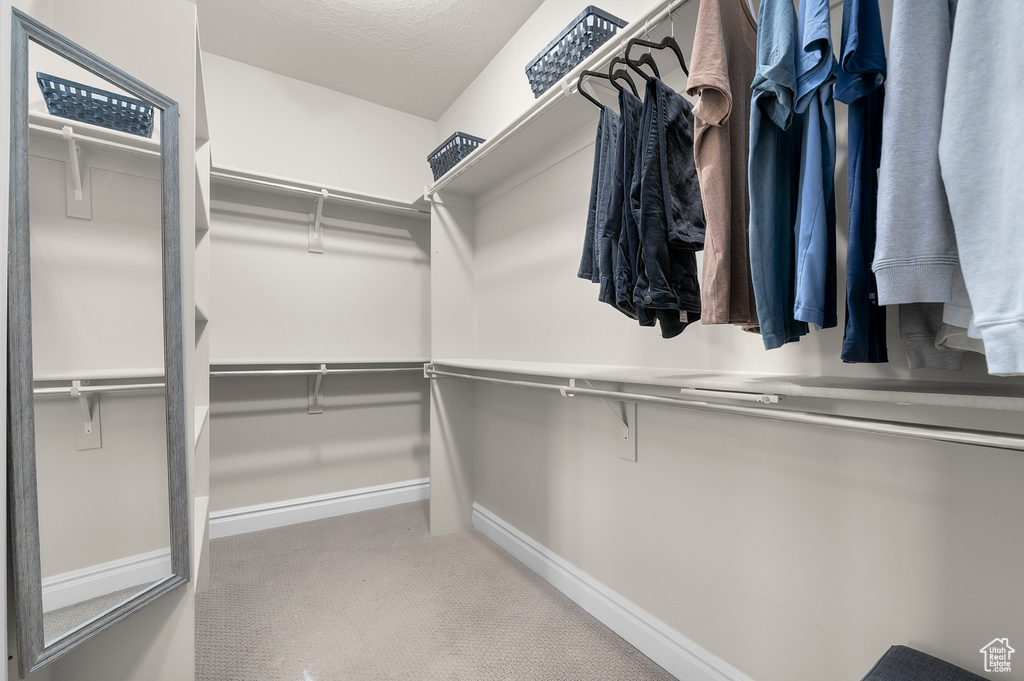 Spacious closet featuring carpet flooring