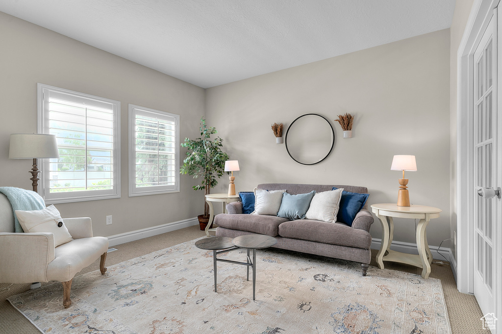 Carpeted living room with baseboards