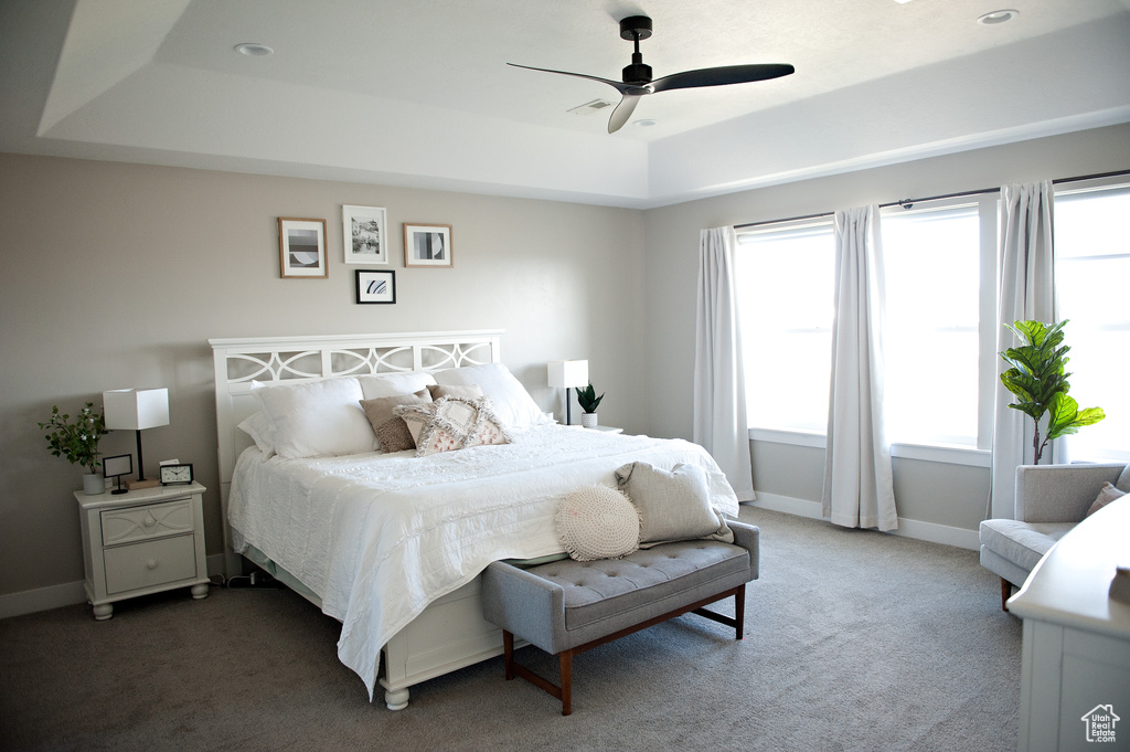Bedroom with a raised ceiling, multiple windows, and carpet floors