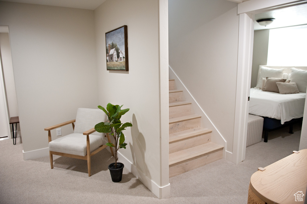 Stairs with carpet flooring
