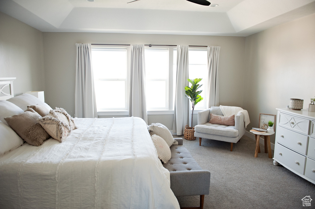 Carpeted bedroom with a raised ceiling and a ceiling fan