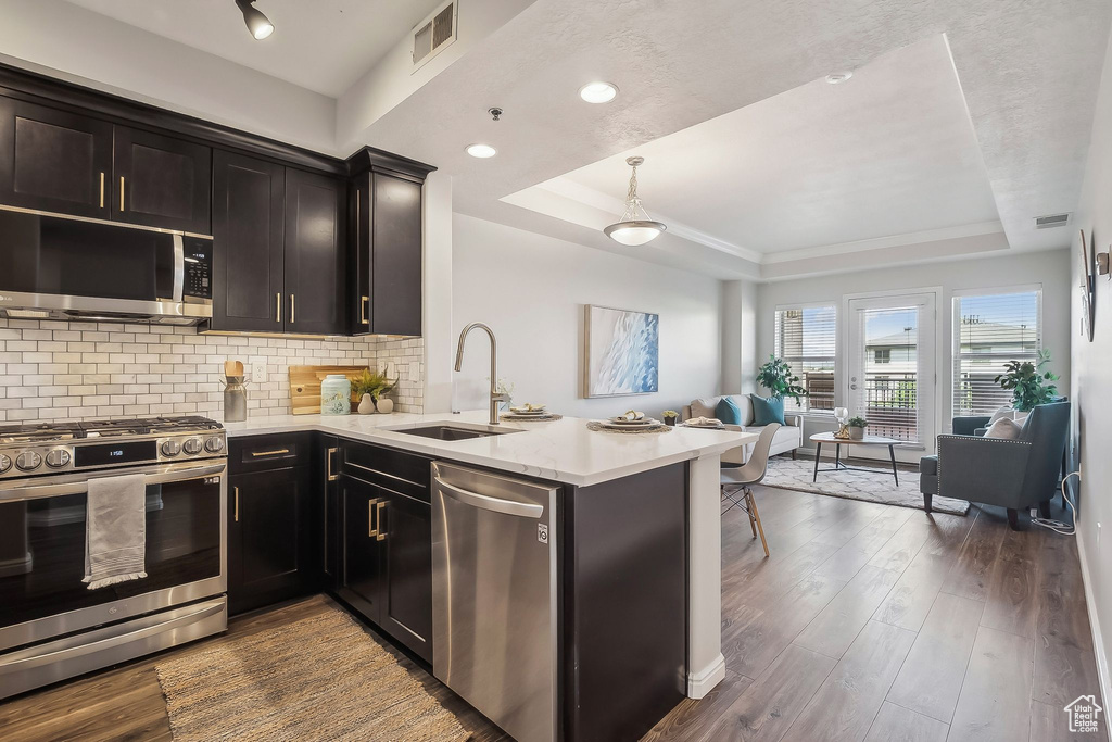 Kitchen with appliances with stainless steel finishes, a sink, a raised ceiling, open floor plan, and a peninsula