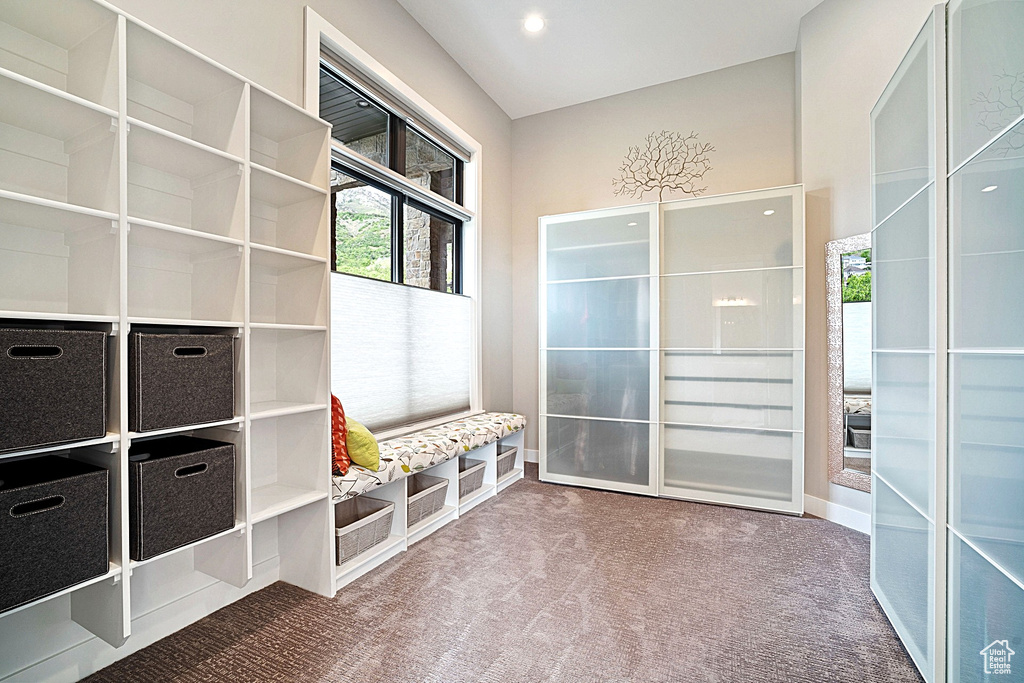 Mudroom with carpet and baseboards
