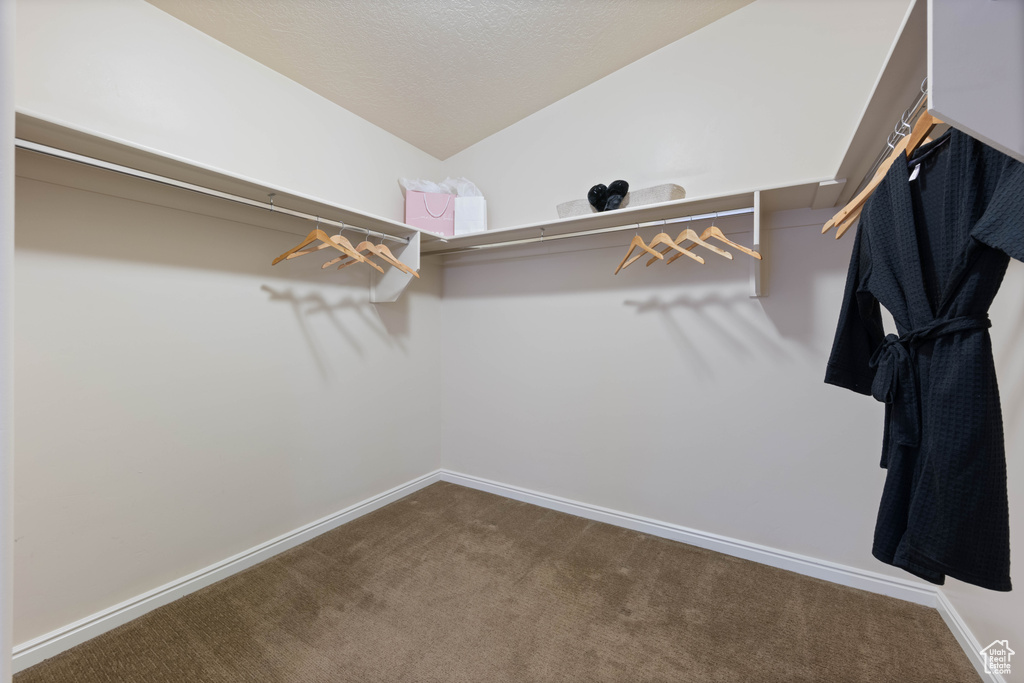 Walk in closet with carpet