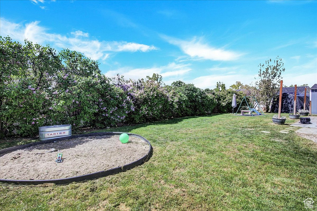 View of green lawn