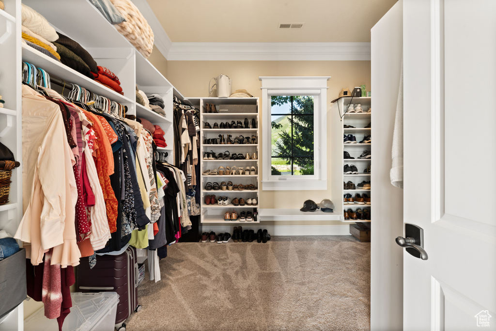 Walk in closet featuring carpet