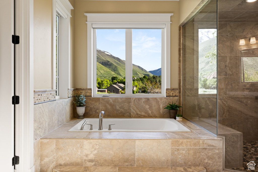 Full bath featuring a bath and a mountain view