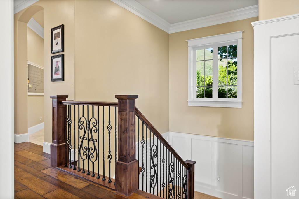 Stairway featuring ornamental molding, wood finished floors, arched walkways, and wainscoting