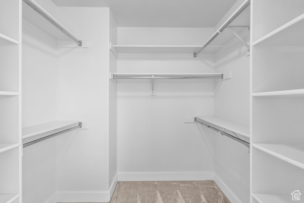 Walk in closet with carpet floors