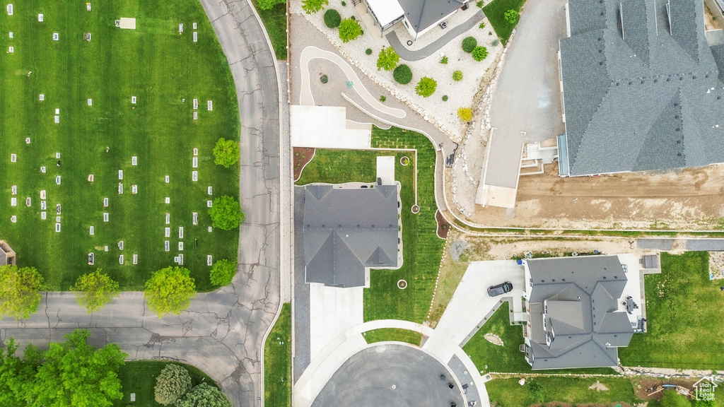 Bird\'s eye view