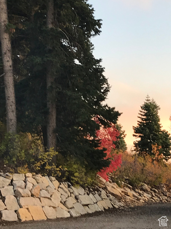 View of nature