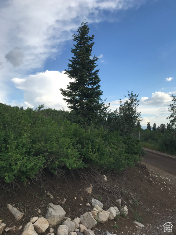 View of nature