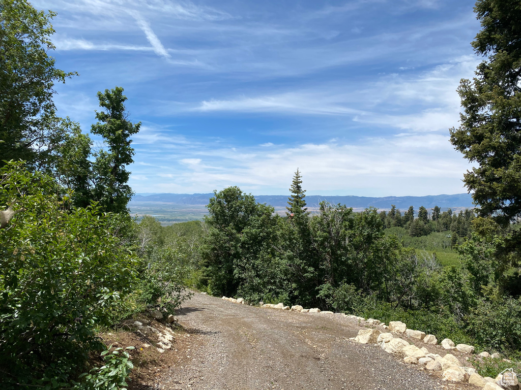 Mountain view featuring a heavily wooded area