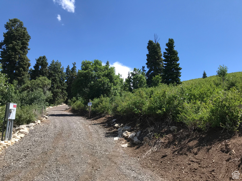 View of road