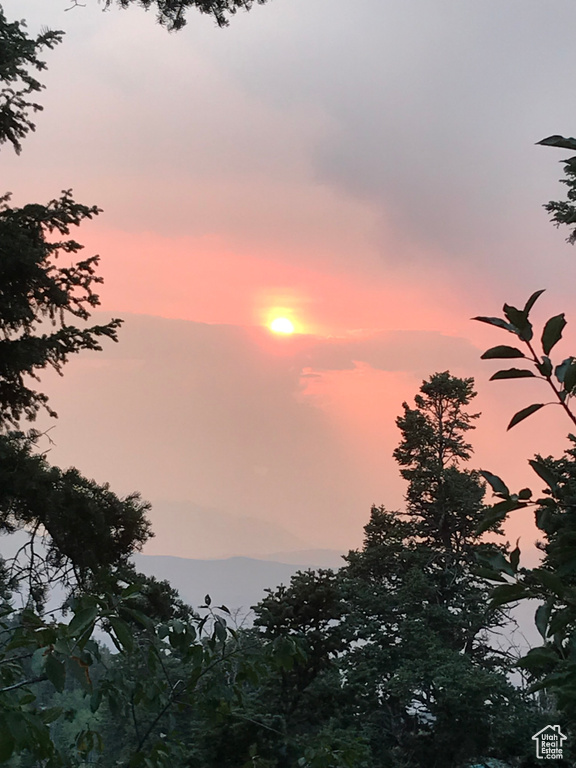 View of nature at dusk