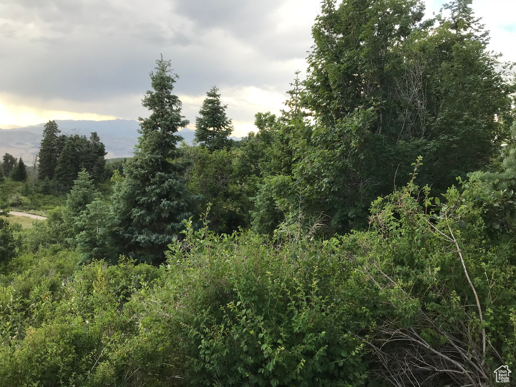 View of nature featuring a mountain backdrop