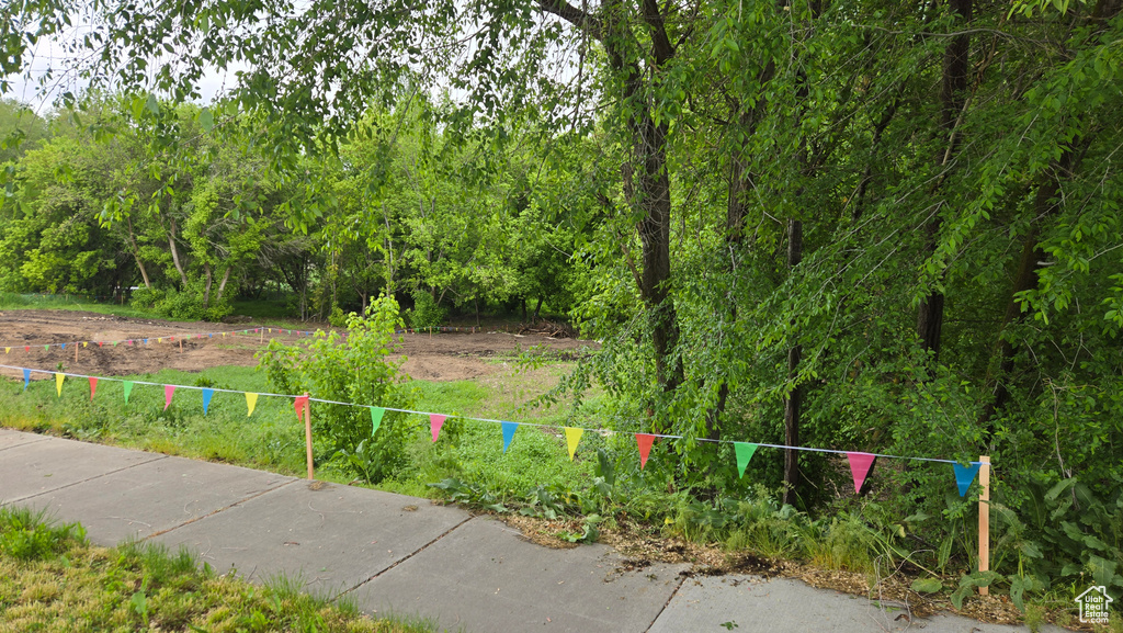 View of yard with a view of trees