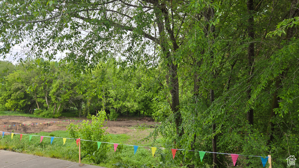 View of yard featuring a forest view
